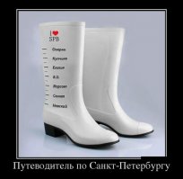 Для Полюстрово сапоги низковаты