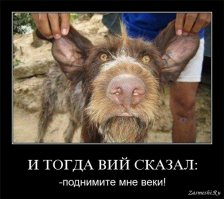 Автомобильные фотоприколы