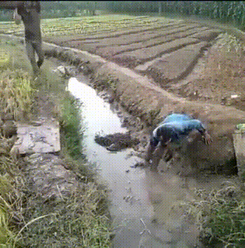 8101d870a99100749855e37fd69b935d.gif