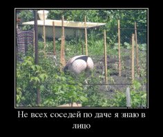 Прикольные идеи для дачи и сада