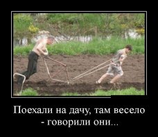 Прикольные идеи для дачи и сада