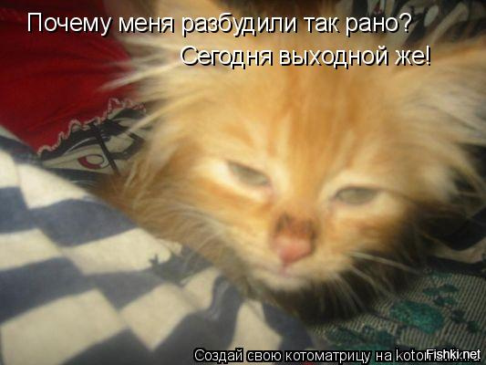 Поздравление после дня рождения Поздравление после дня рождения