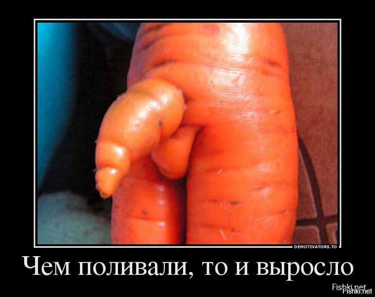 в попе морковка фото без смс №48498 в попе морковка фото № 48497 без смс