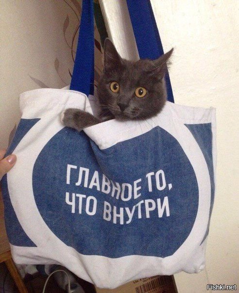 40 позитивных картинок, которые скрасят ваш день
