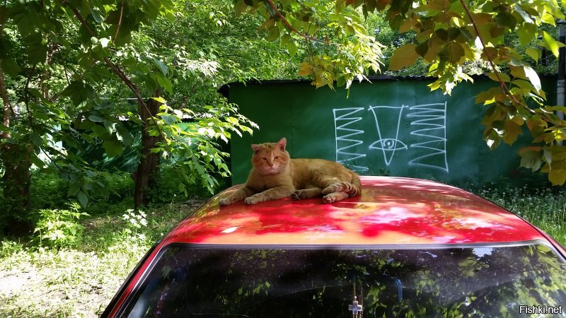 Самец!