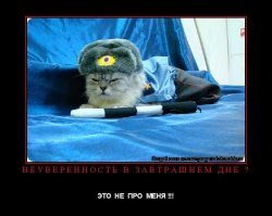 Образ кошки в демотиваторах