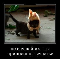 Образ кошки в демотиваторах