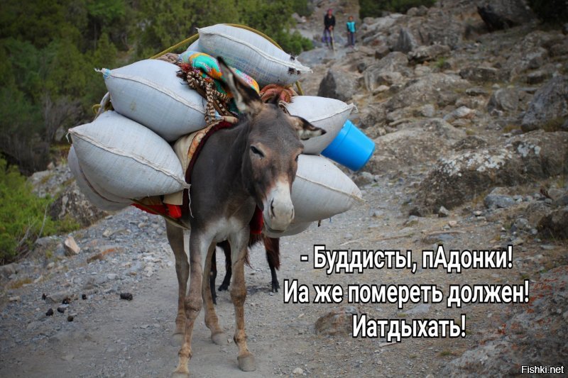 Не обольщайтесь...
