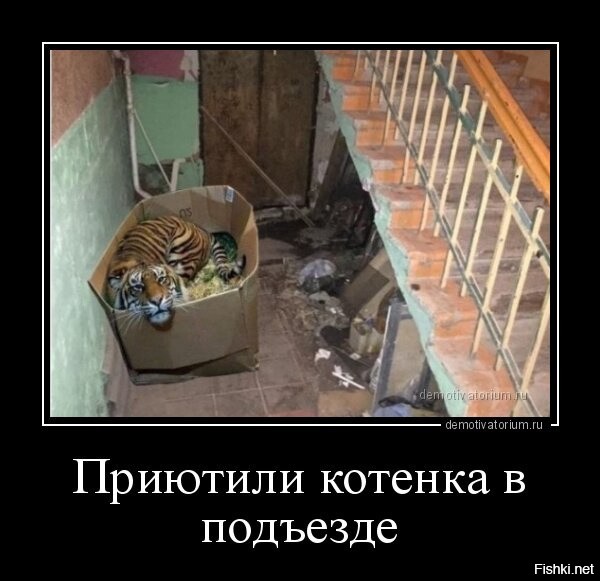 Подборка демотиваторов для отличного настроения
