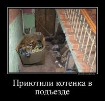 Подборка демотиваторов для отличного настроения