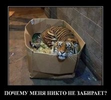 Подборка демотиваторов для отличного настроения