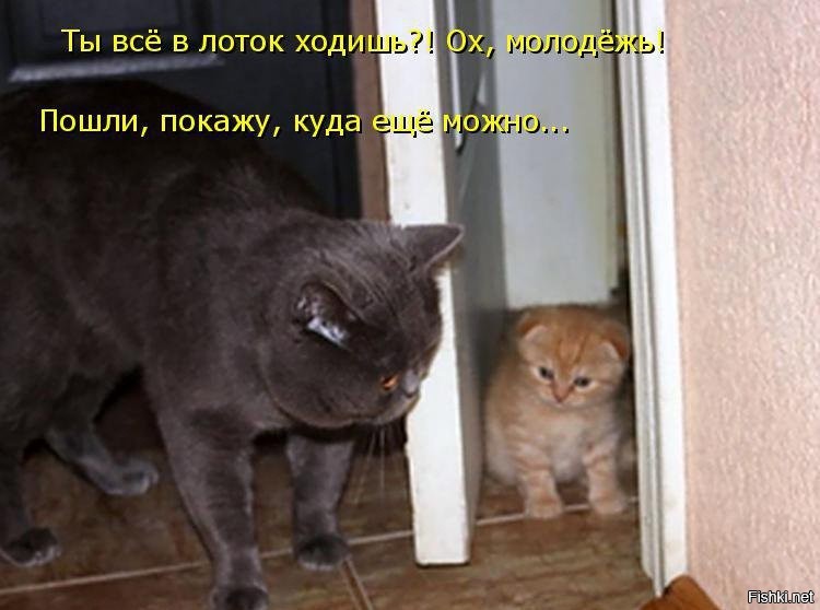 Прикольные и смешные картинки