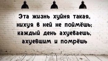 Прикольные и смешные картинки