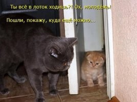 Прикольные и смешные картинки