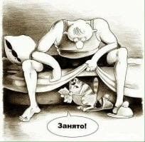 Прикольные и смешные картинки