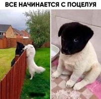 Супербаянистые демотиваторы