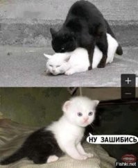 Супербаянистые демотиваторы