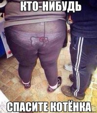 Смешные и познавательные картинки