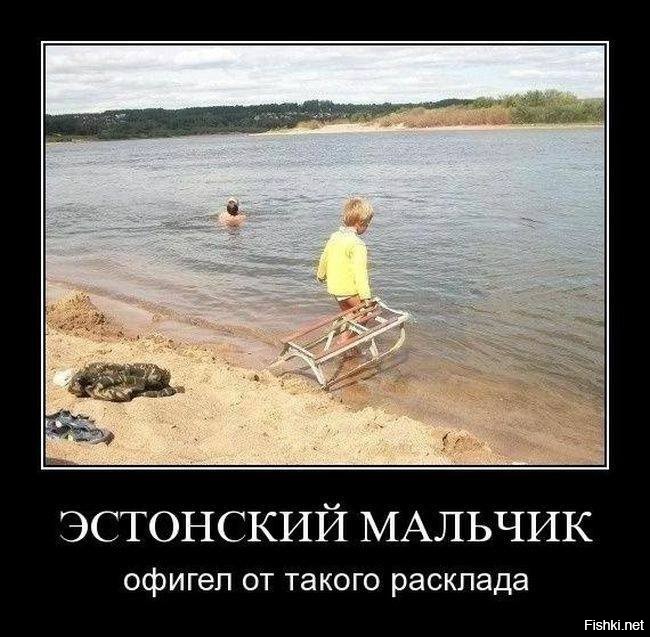 Смешные и познавательные картинки