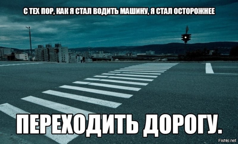 Смешные и познавательные картинки