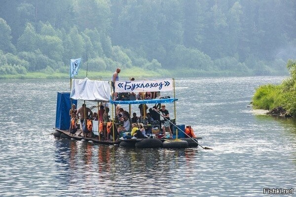 Смешные и познавательные картинки