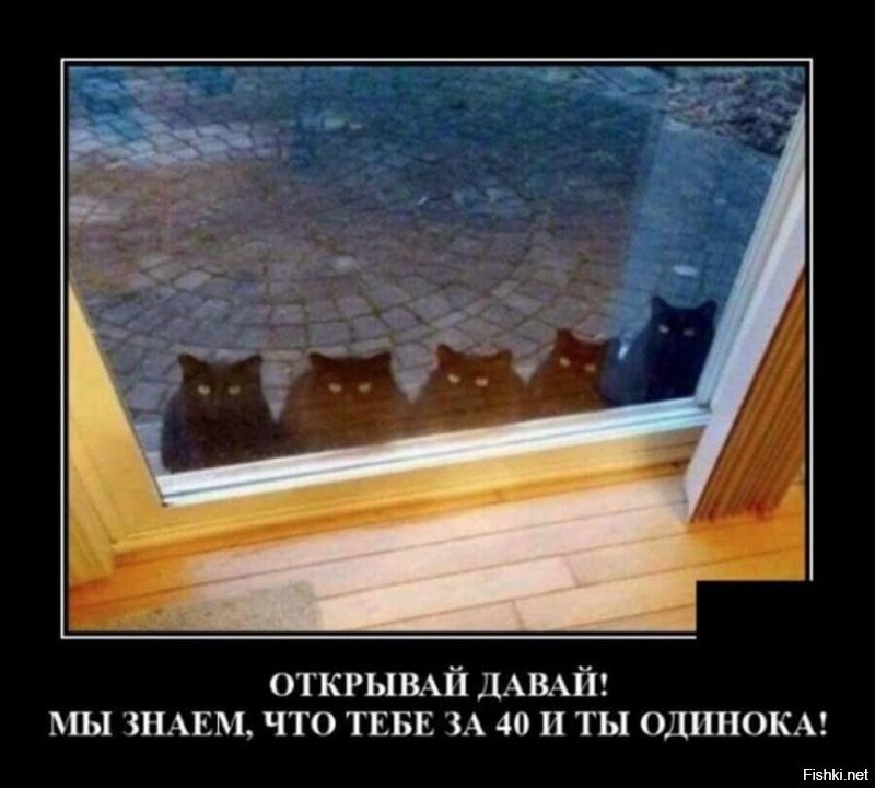 А ведь до снимка они все кому то дорогу перебежали.