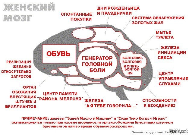 Смешные и познавательные картинки