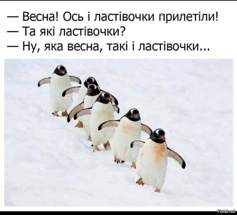 Смешные и познавательные картинки
