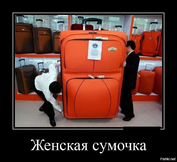 Фотоподборка