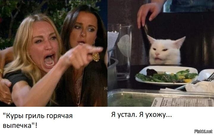 Смешные и познавательные картинки