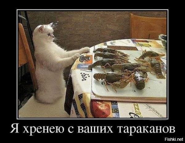 Весёлые демотиваторы на разные темы