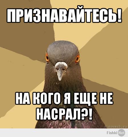 Птички пролетали