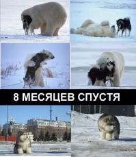 К вопросу о смешанных браках..)