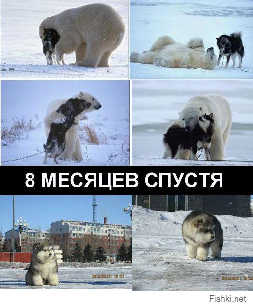 К вопросу о смешанных браках..)