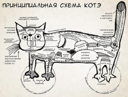 Правила кошачьего этикета