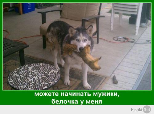 Приколы из жизни (4 фото)