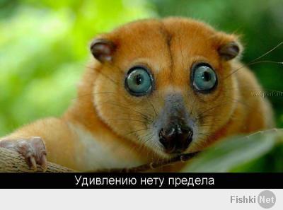 где тут Селин Дион?