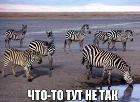 Что-то тут не так...