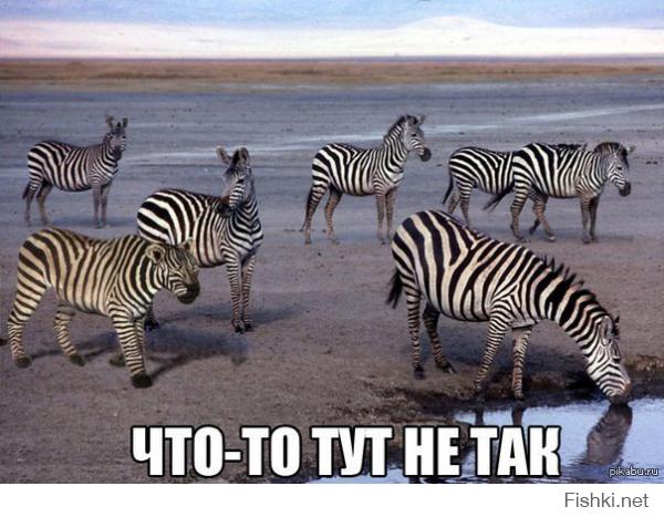 Что-то тут не так...