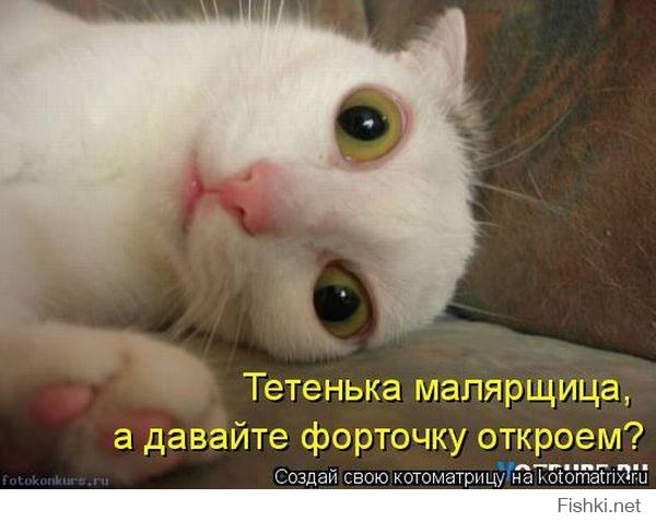Картинки со смешными подписями