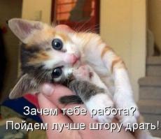 Картинки со смешными подписями