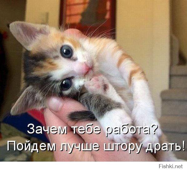 Картинки со смешными подписями