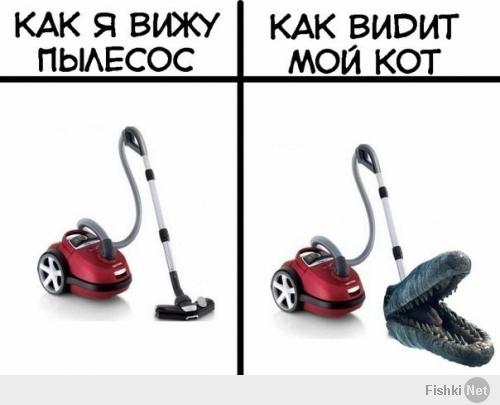 Отлов неуловимых блох от кота!