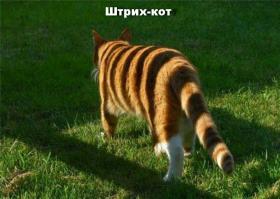 Фотоподборка за 08.10.2014