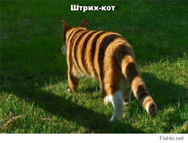 Фотоподборка за 08.10.2014