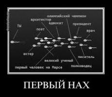 Веселые картинки