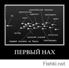 Веселые картинки
