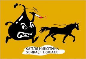 Просто смешные картинки с подписями