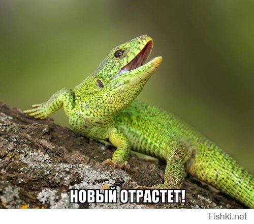 Фура потеряла прицеп!