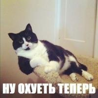 Бабуля на самокате